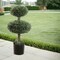 2.5ft Artificial Double Boxwood Topiary Tree - Lifelike Design, Potted in Black Planter, Ideal for Home, Office & Outdoor Decor - All-Season Use, Floral Home by Artificial Flowers